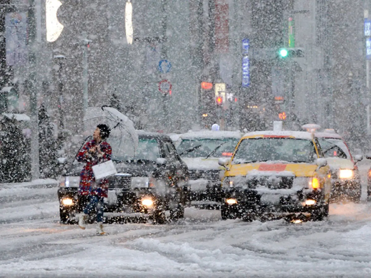 سرما در ژاپن هم قربانی گرفت