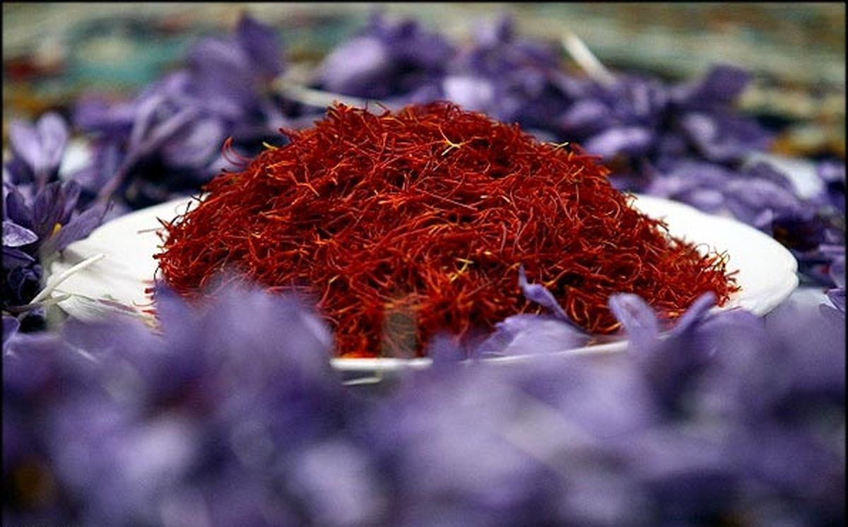پس از ۱۵سال آمریکا خریدار زعفران ایرانی