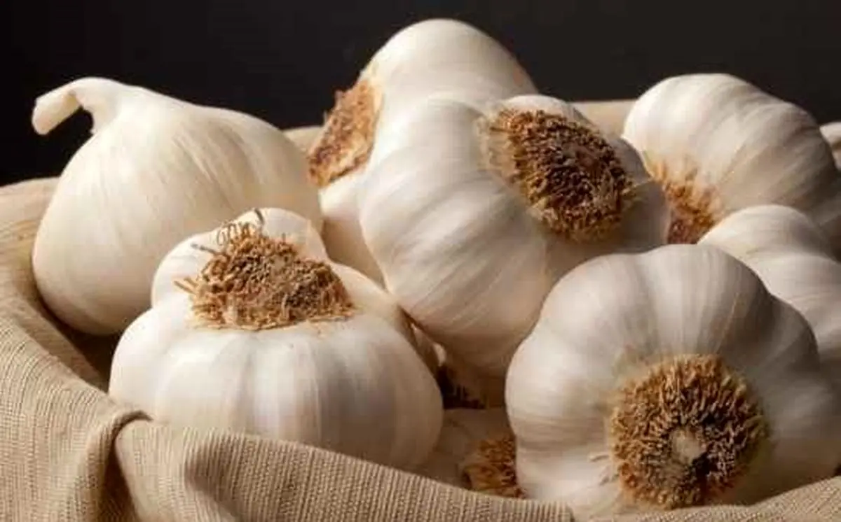 شگفت‌آور‌‌‏ترین گیاه دارویی زمین