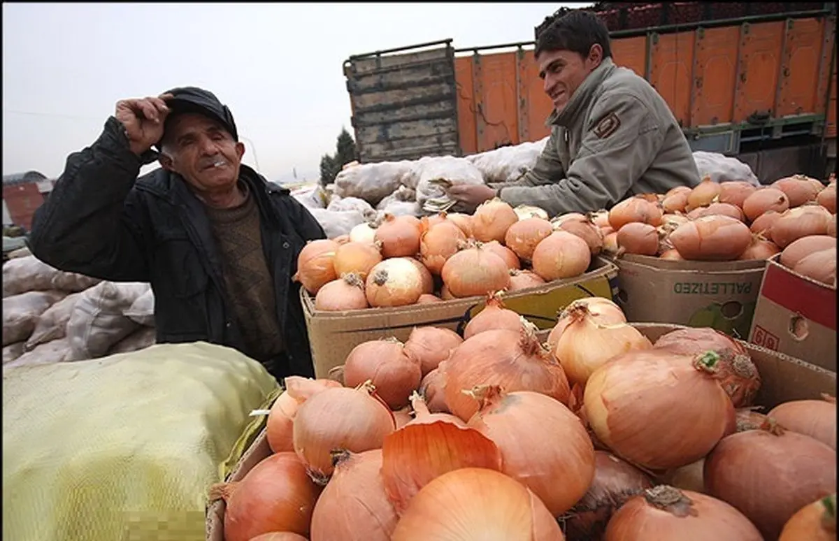 مقصر اصلی پیاز سه هزار تومانی