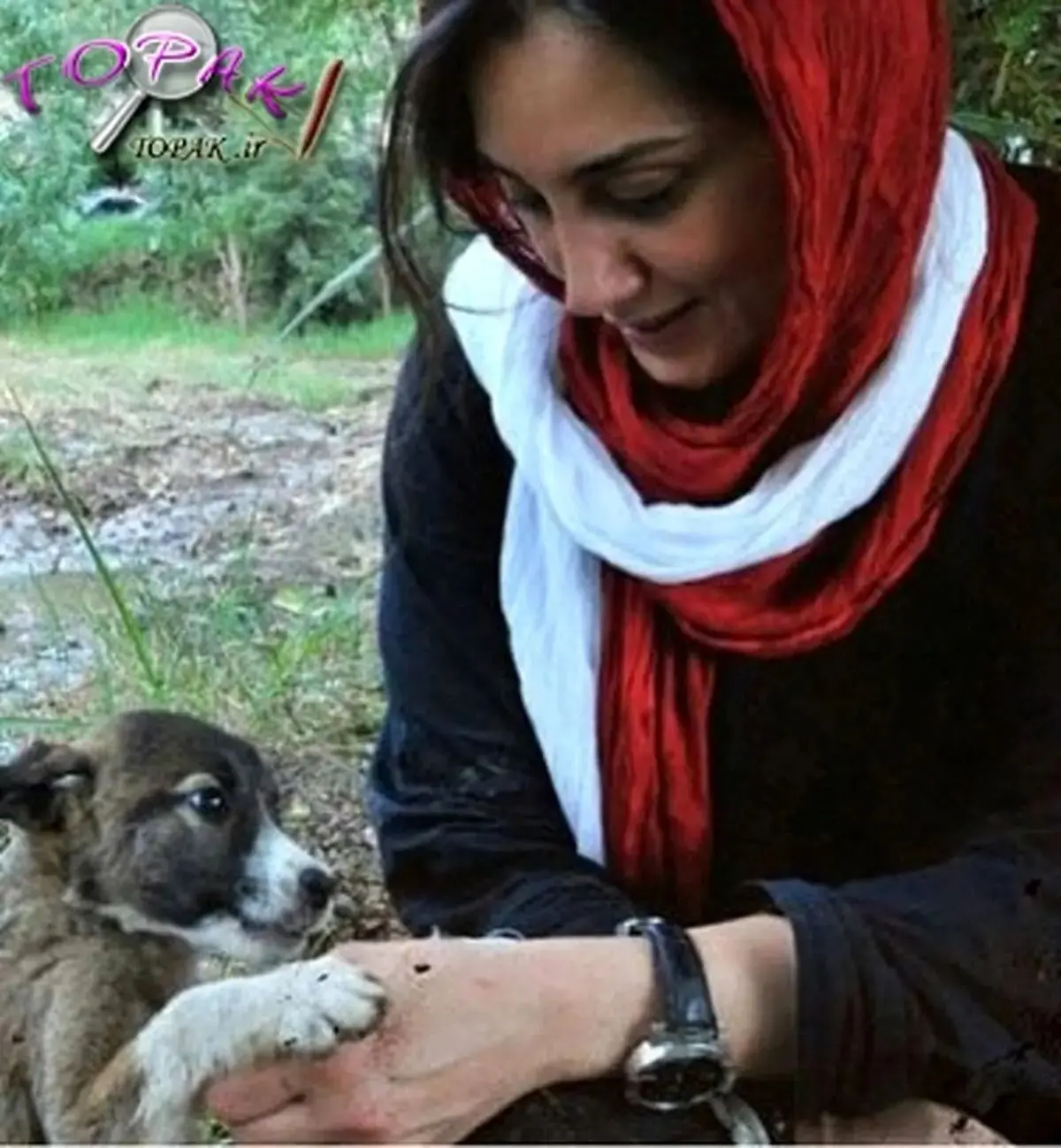 هدیه تهرانی برای حیوانات بی سرپرست؛ سرپرست پیدا می کند