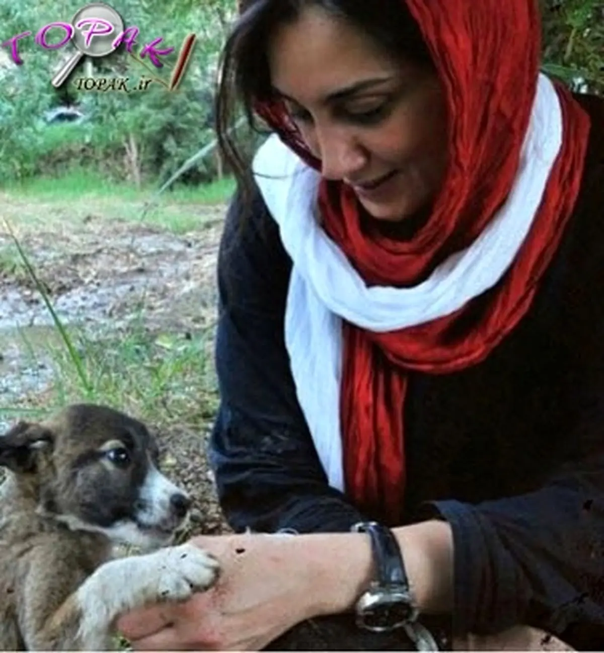 هدیه تهرانی برای حیوانات بی سرپرست؛ سرپرست پیدا می کند