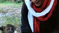هدیه تهرانی برای حیوانات بی سرپرست؛ سرپرست پیدا می کند