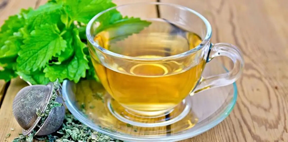 انواع دمنوش های گیاهی مخصوص فصل بهار