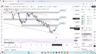 تحلیل شیبا امروز 4 آذر 1404