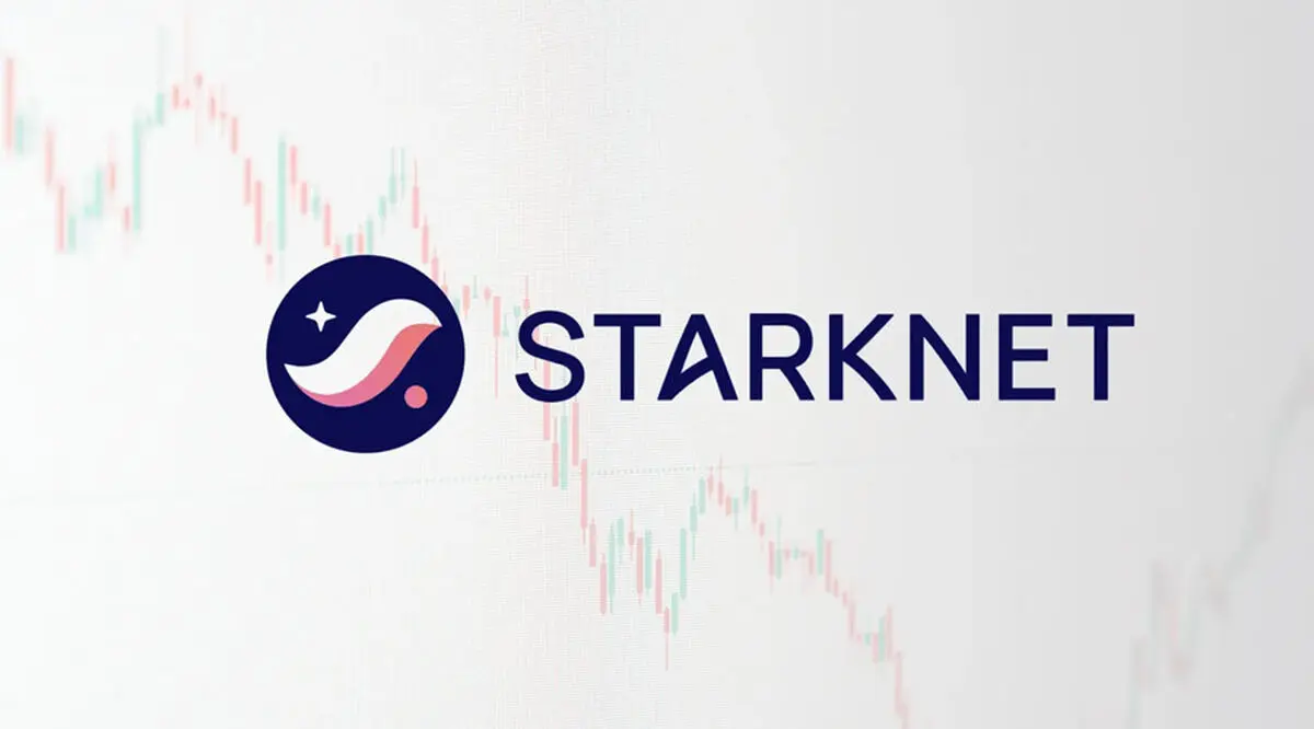 بازگشت تاریخی استارک‌نت به کف قیمت؛ آیا رالی جدید در راه است؟