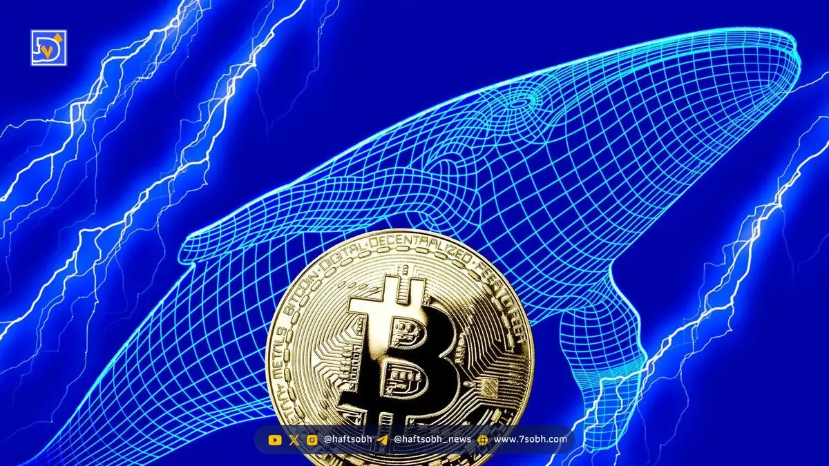 تحلیل بیت کوین (۱۶ مهر): سود هنگفت نهنگ‌های کوتاه‌مدت؛ قیمت BTC به کدام سمت می رود؟