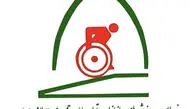 برگزاری نشست وبیناری هیأت‌رئیسه فدراسیون و ارائه گزارش برنامه‌های ۱۴۰۴ و ۱۴۰۵