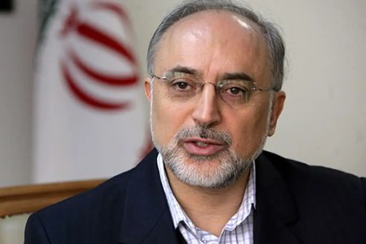 صالحی: می گویند با زن و فرزندمان داخل قلب راکتور اراک می رویم، خب شما شجاعید!