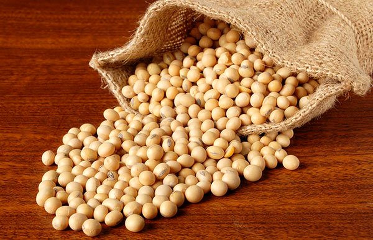 زنان برای مقابله با دیابت و بیماری قلبی سویا بخورند