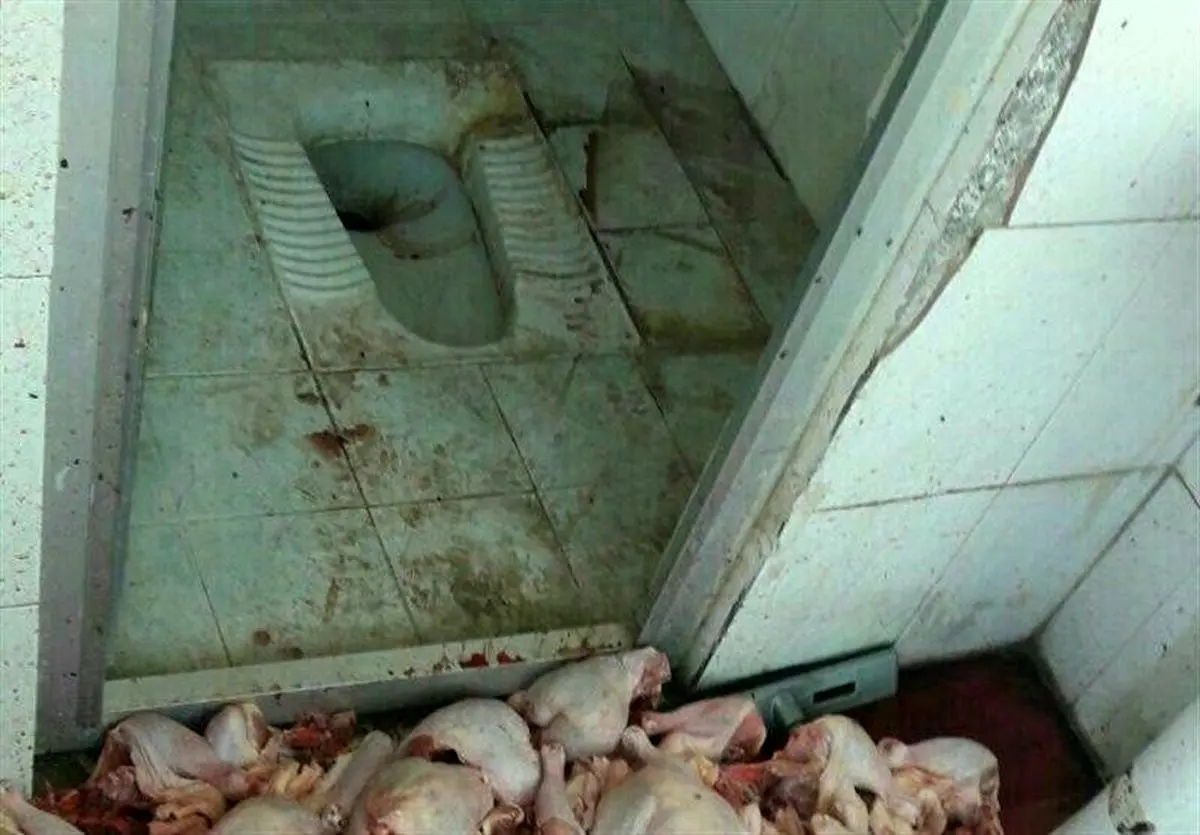 حکم مجازات متخلفان قطعه بندی مرغ در توالت