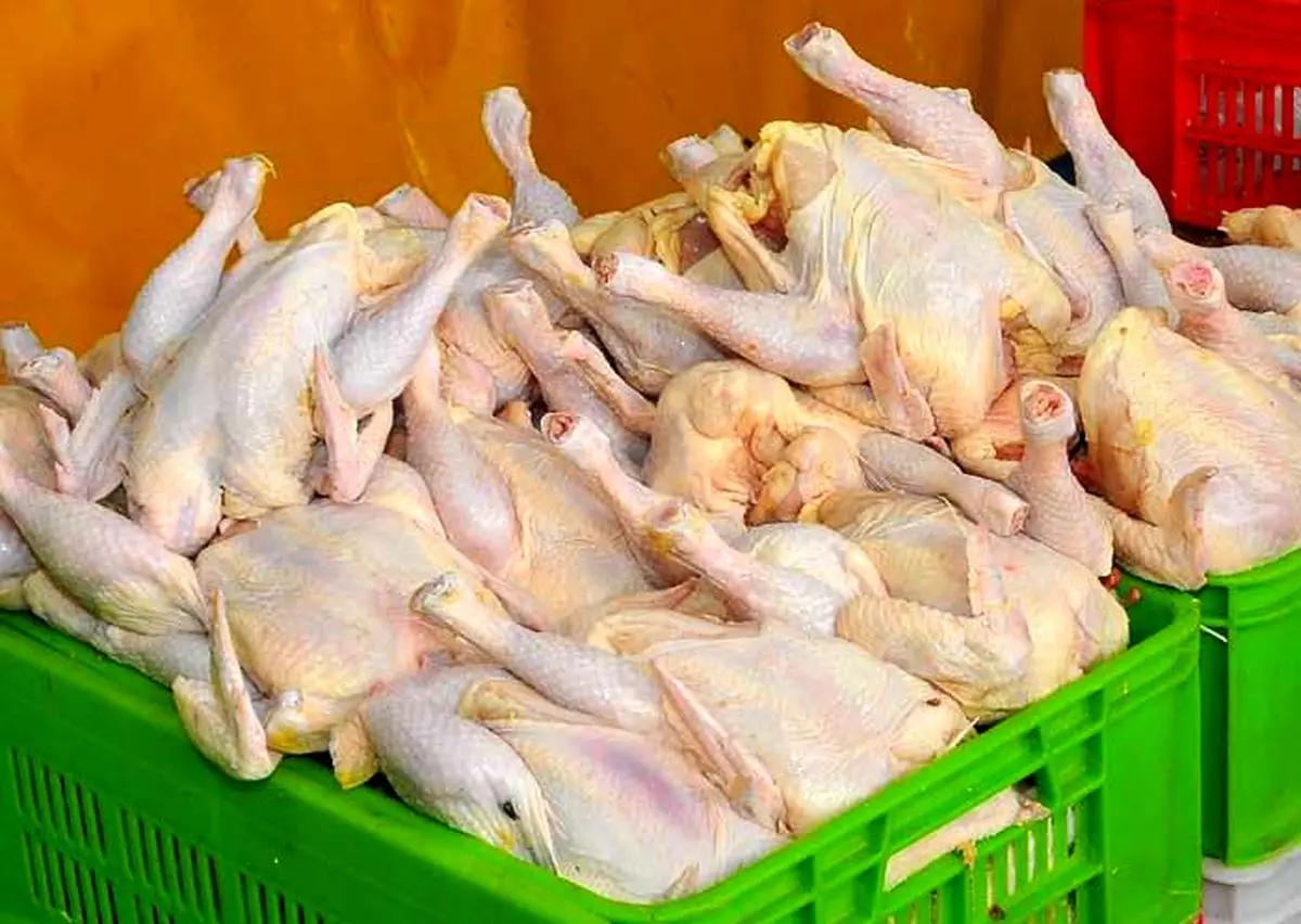 صادرات باعث افزایش قیمت مرغ نشده است