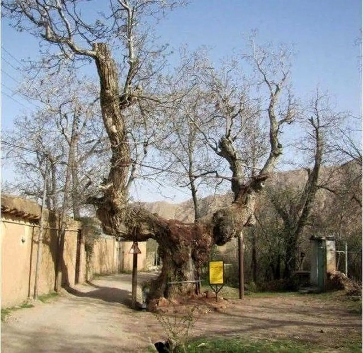"کمان رستم"را اینجا ببینید