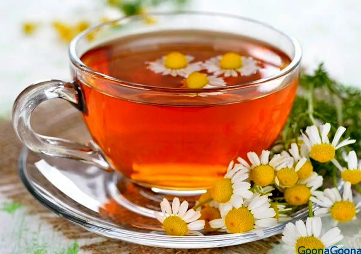 فواید دمنوش های گیاهی/معرفی چند چای معروف