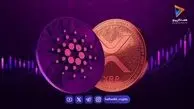 نبرد آینده‌دارها؛ ریپل یا کاردانو؟ کدام‌یک چشم‌انداز روشن‌تری دارد؟