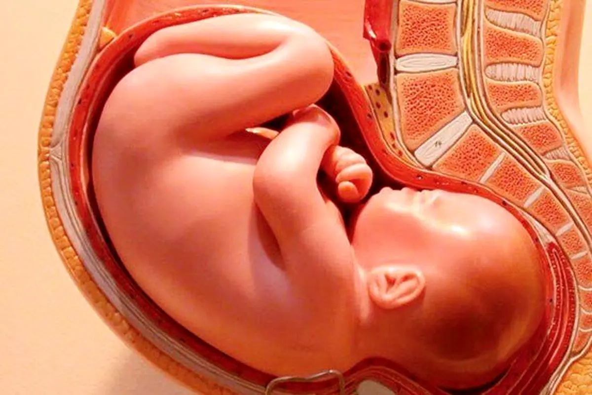 پیش بینی سلامت جنین با آزمایش ادرار مادر