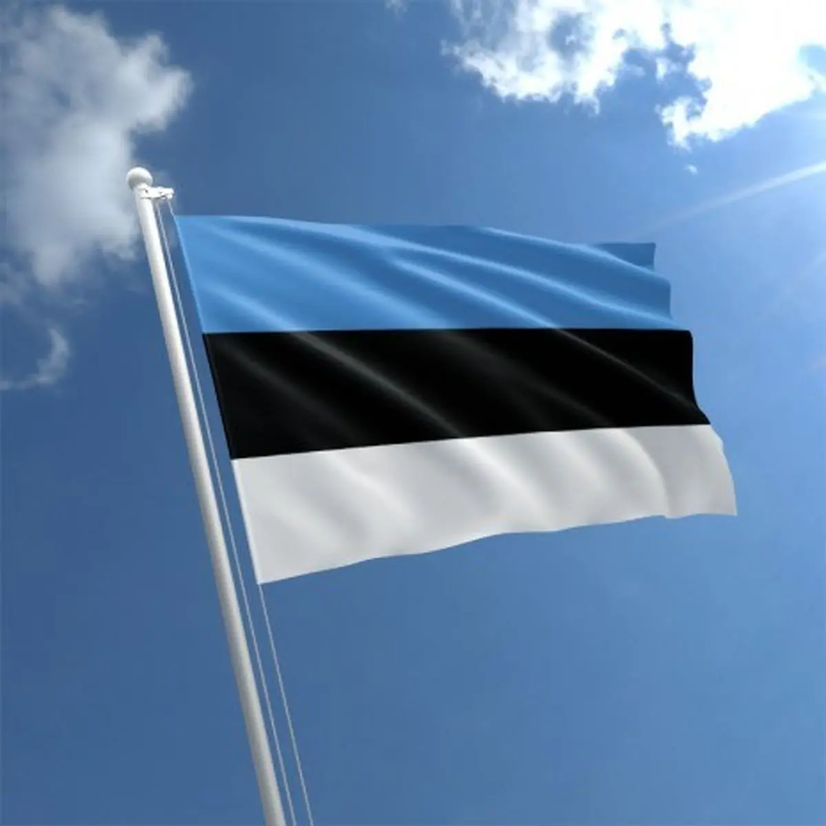 دولت استونی سقوط کرد
