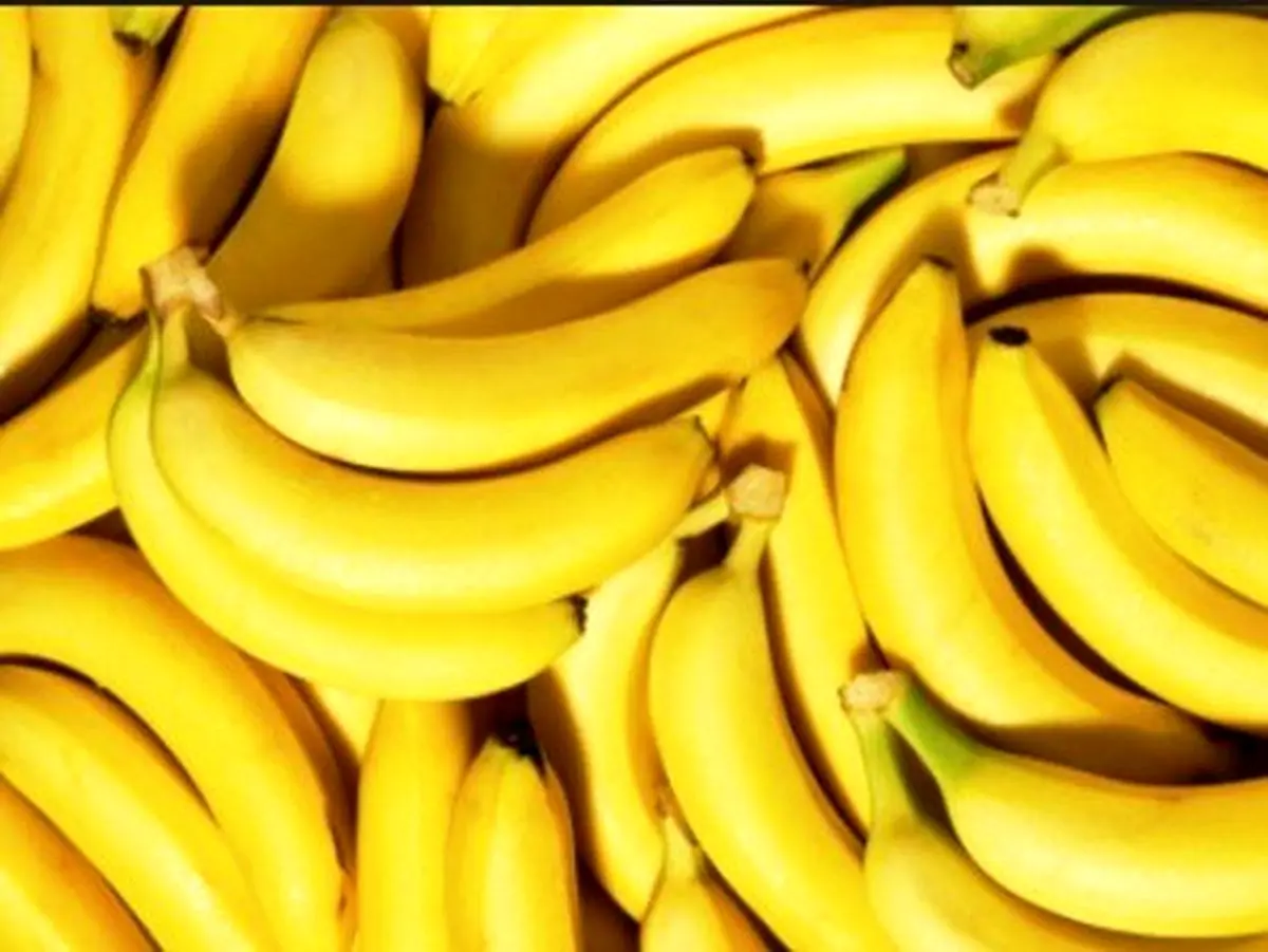 با موز ۳ روزه ۳ کیلو لاغر شوید