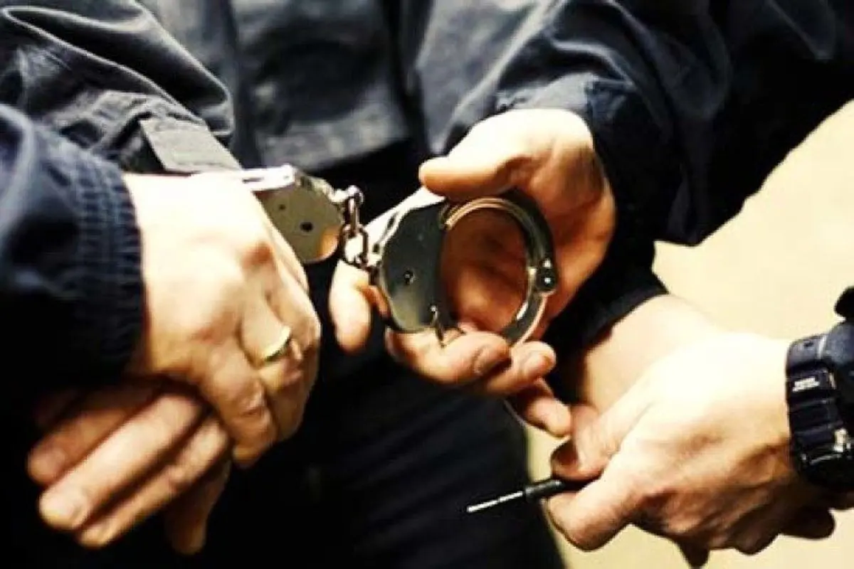 نماینده مجلس از دستگیری ۱۲ مدیر دو تابعیتی خبر داد
