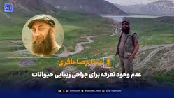 عدم وجود تعرفه برای جراحی زیبایی حیوانات