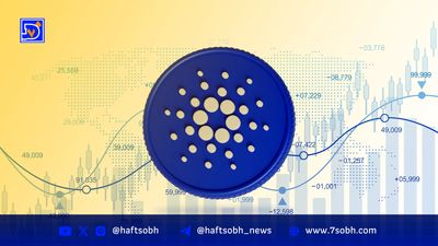 حمله DDoS عملیات تصاحب 51 درصدی مونرو را مختل کرد