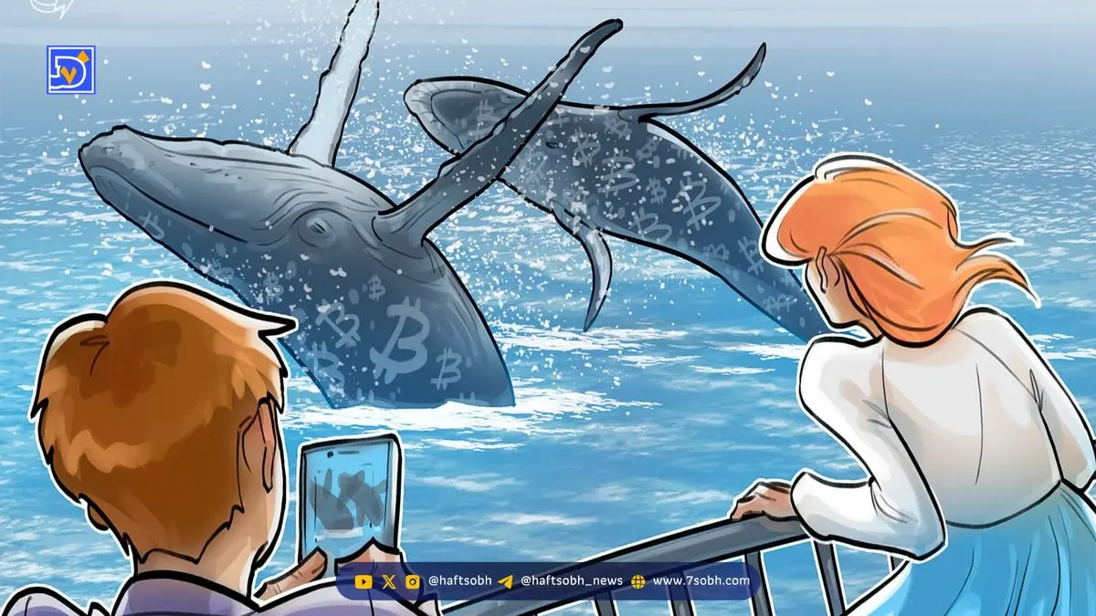 نهنگ‌های بیت‌کوین میلیاردها دلار را به ETFهای اسپات منتقل می‌کنند