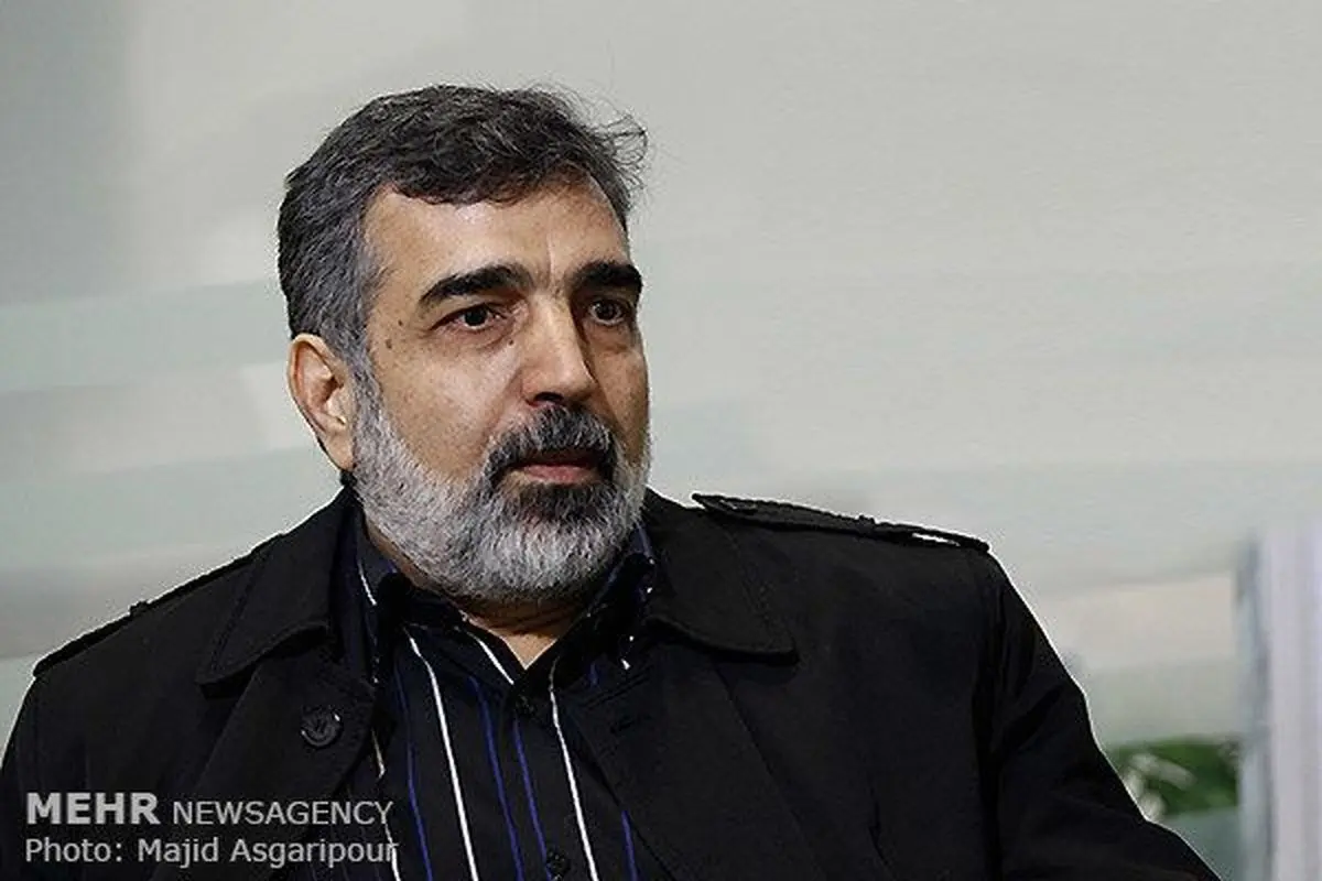 سخنگوی سازمان انرژی اتمی جواب آمانو را داد