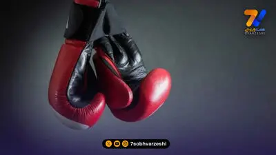 یک فینالیست و یک مدال برنز برای بوکس ایران در ارمنستان