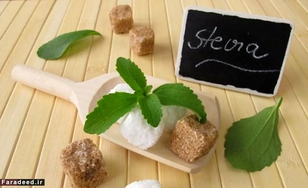 گیاهی برای ترک آسان سیگار