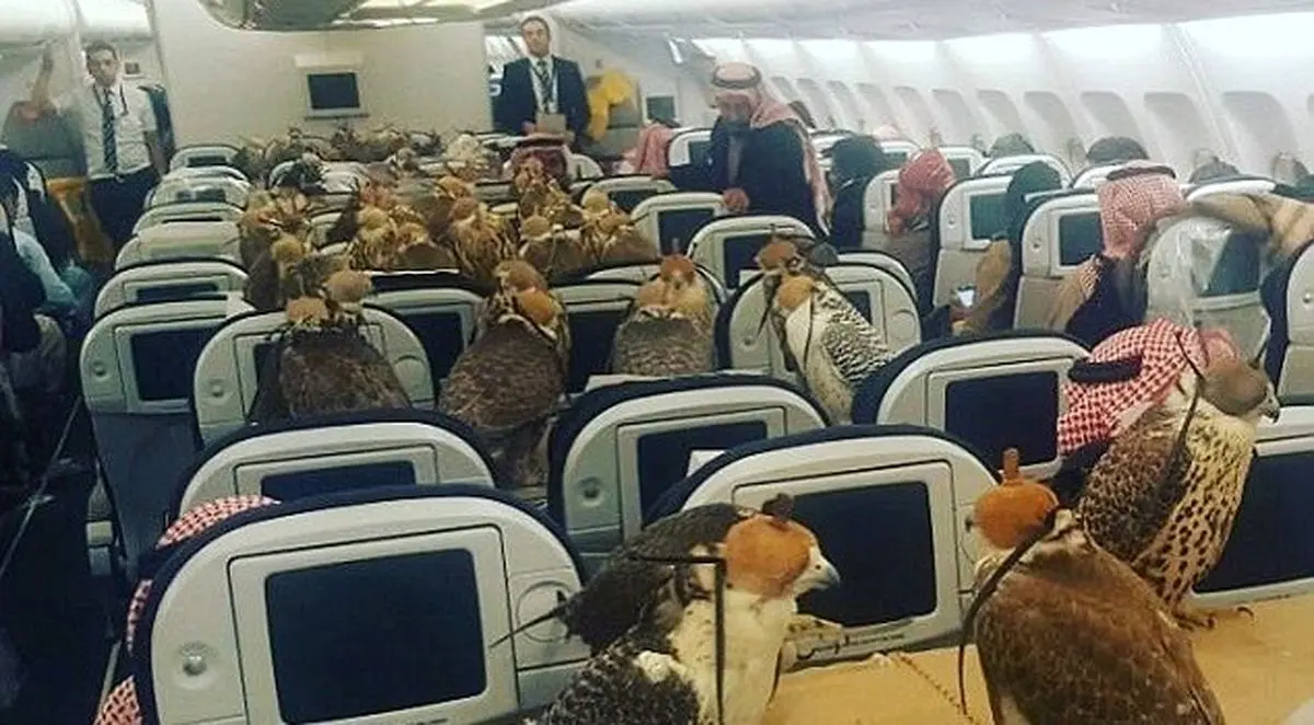 اقدام عجیب شاهزاده سعودی در هواپیما