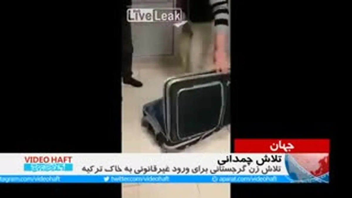 ویدیو هفت|فرار چمدانی