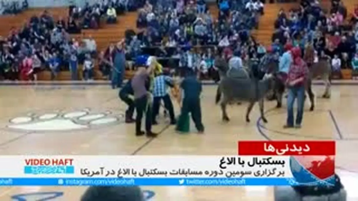 وبدیو هفت|بسکتبال الاغی!