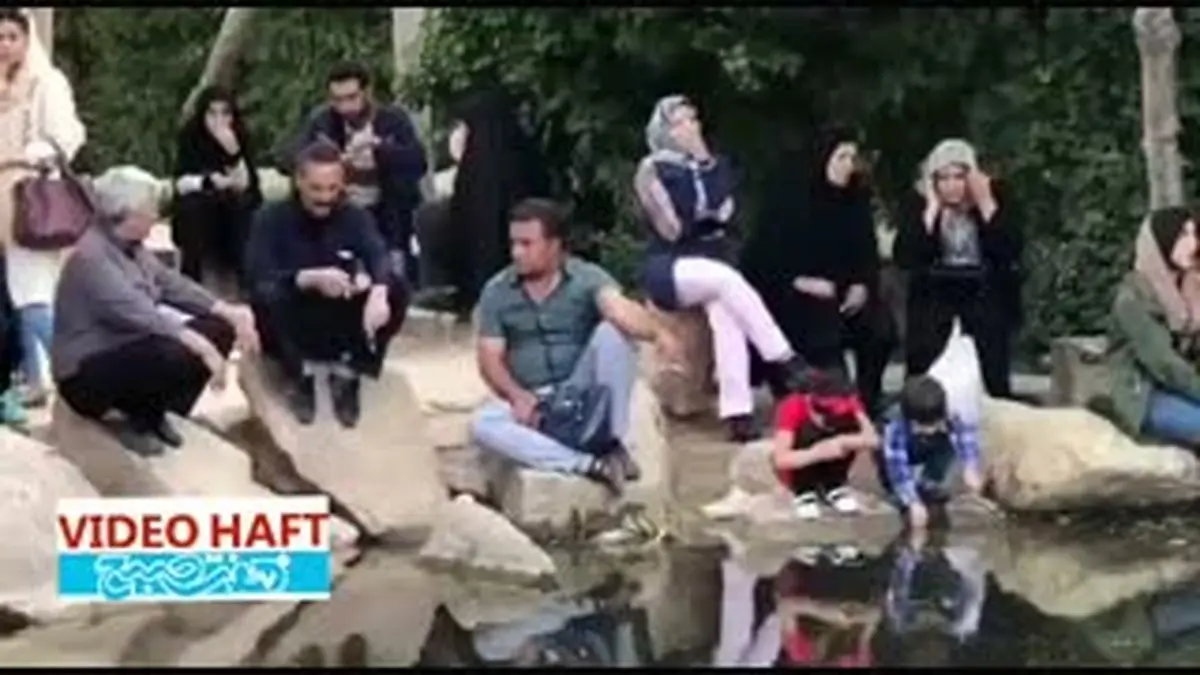 ویدیو هفت|چرخش ماهی ها در حوض باغ ارم شیراز