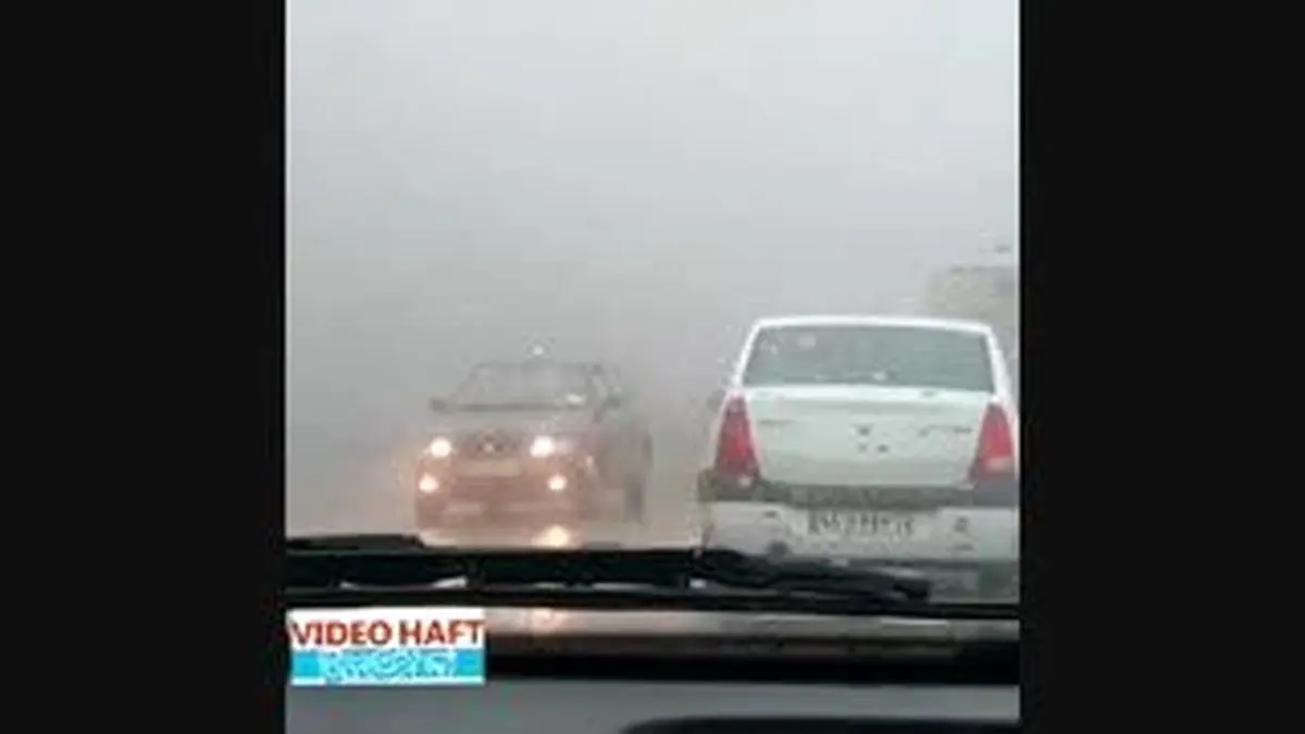 ویدیو هفت|حیران در مه