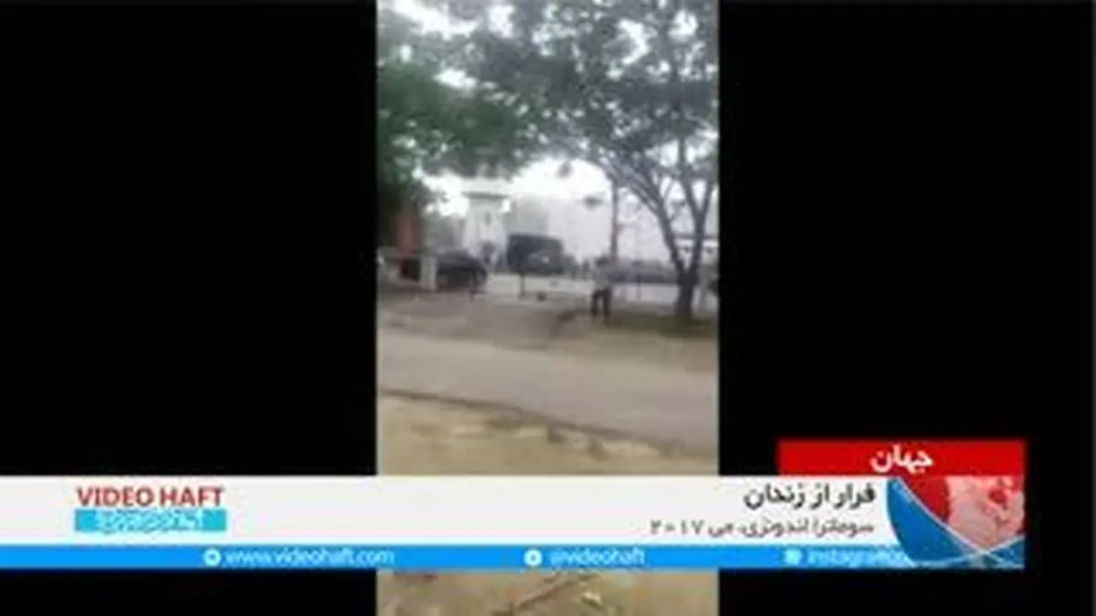ویدیو هفت|فرار از زندان در دنیای واقعی