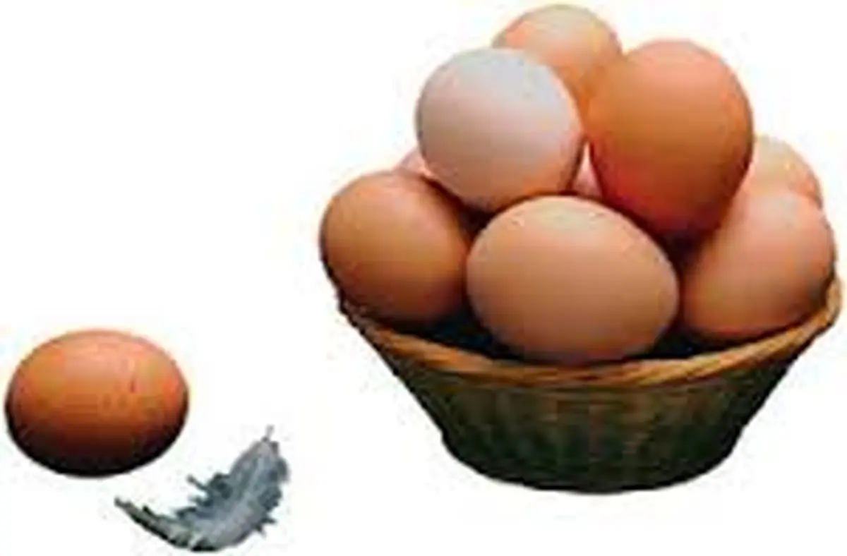 کاهش وزن با مصرف تخم مرغ