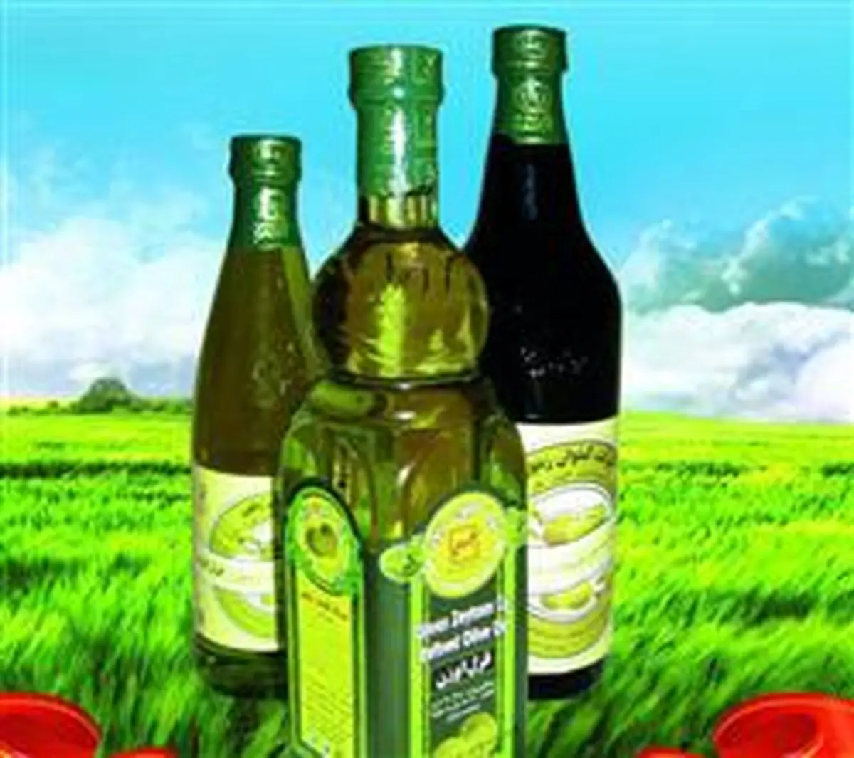 یک غذای چرب با روغن‌ زیتون‌های وطنی/معرفی دو نوع روغن زیتون با برند‌های متفاوت در بازار کشور