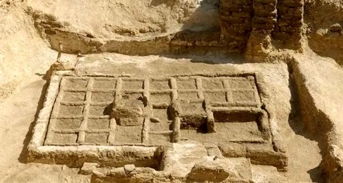 کشف باغ تدفین ۴۰۰۰ ساله در مصر