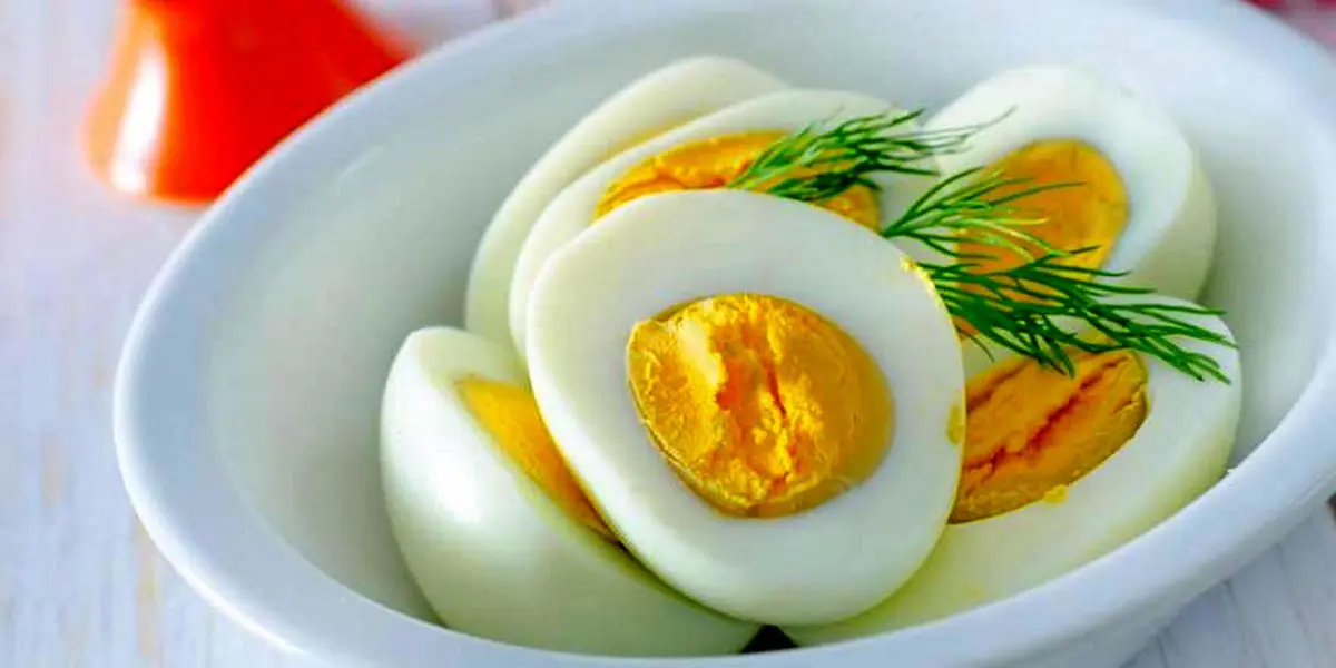 زرده تخم مرغ مفیدتر است یا سفیده؟