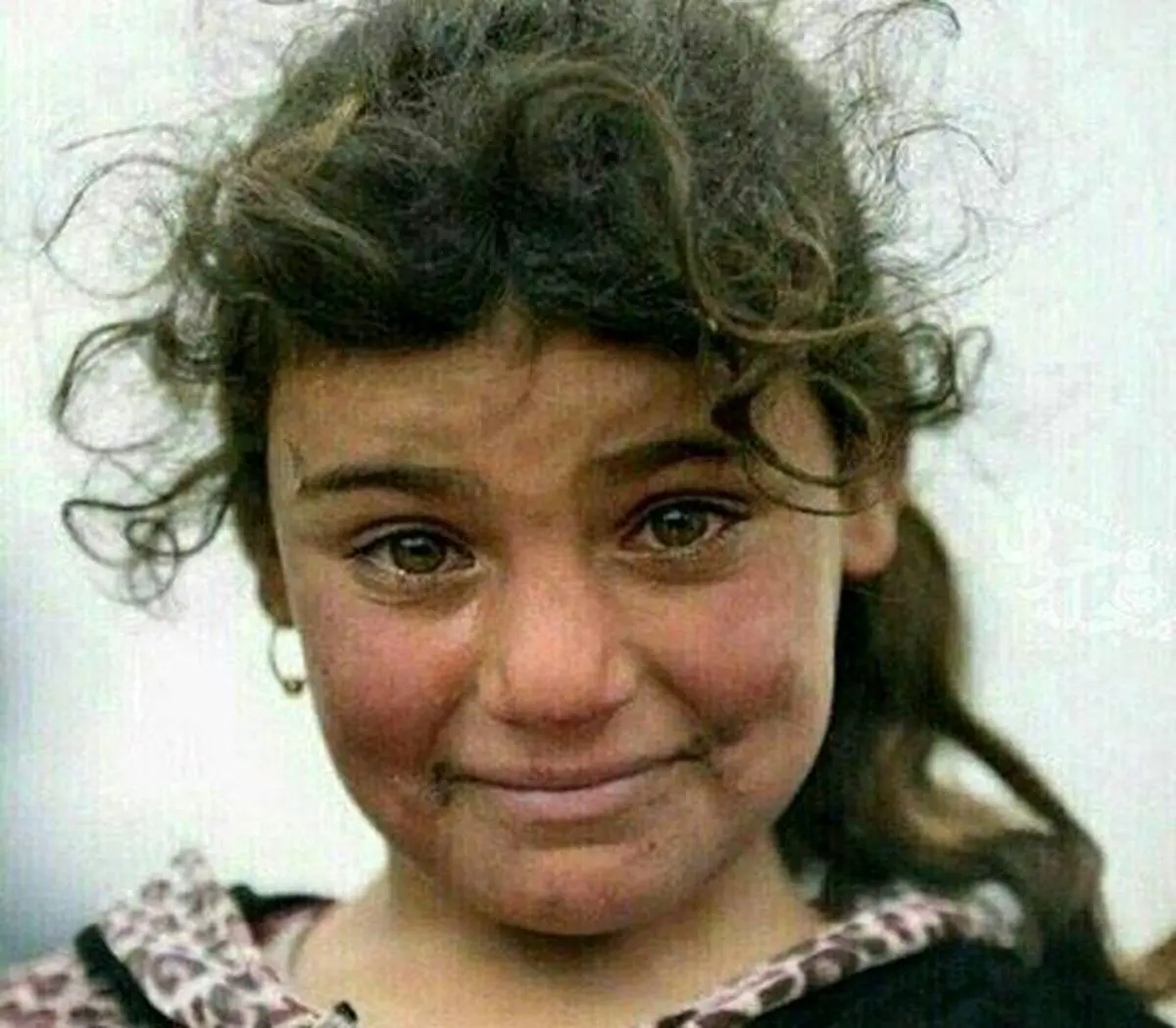 قصه مونالیزای قرن، ۴۹۸سال پس از مرگ لئوناردو داوینچی