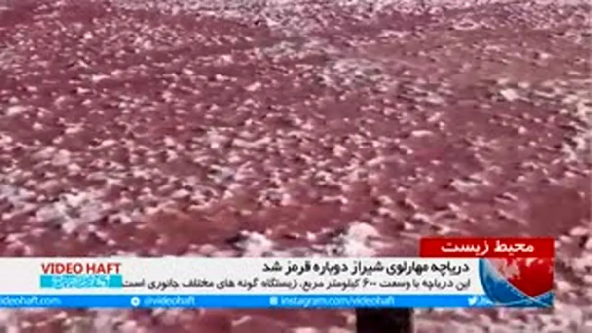 ویدیو هفت|چرا دریاچه مهارلوی شیراز قرمز شد؟