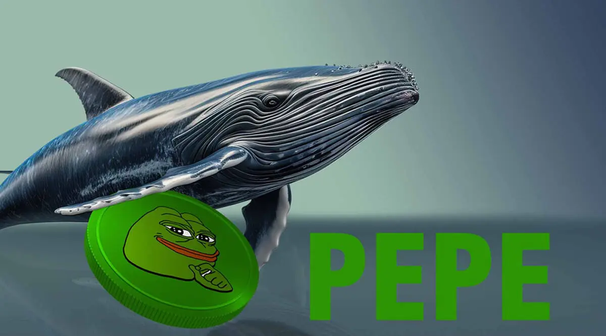 نهنگ‌ها ۳۰ میلیارد پپه خریدند اما سقوط سنگین در راه است؟ هشدارهای دردناک نمودار PEPE