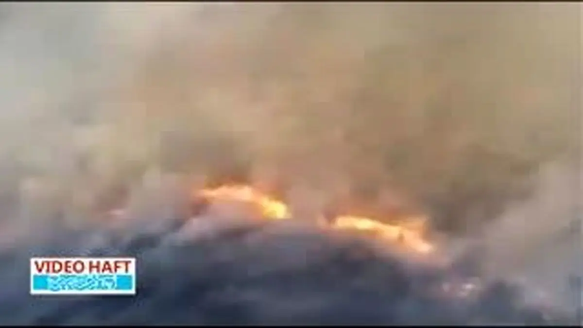 ویدیو هفت|آتش سوزی گسترده در جنگلهای غرب