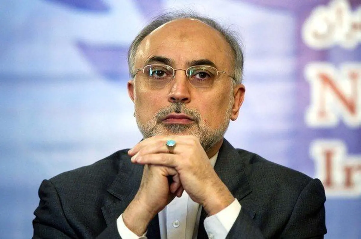 علی اکبر صالحی احتمال معرفی خود به‌عنوان وزیر علوم را رد کرد