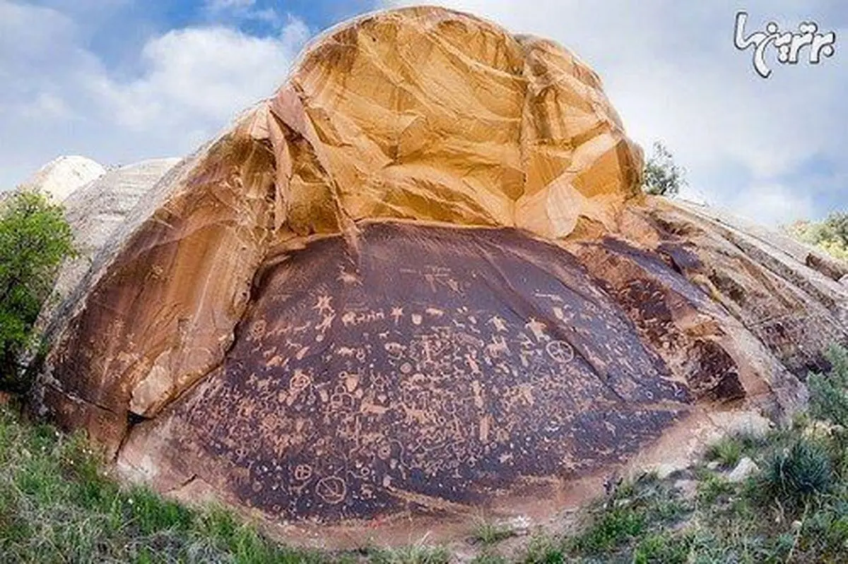 کشف زندگی ۲۰۰۰ ساله در دیوار های یک صخره