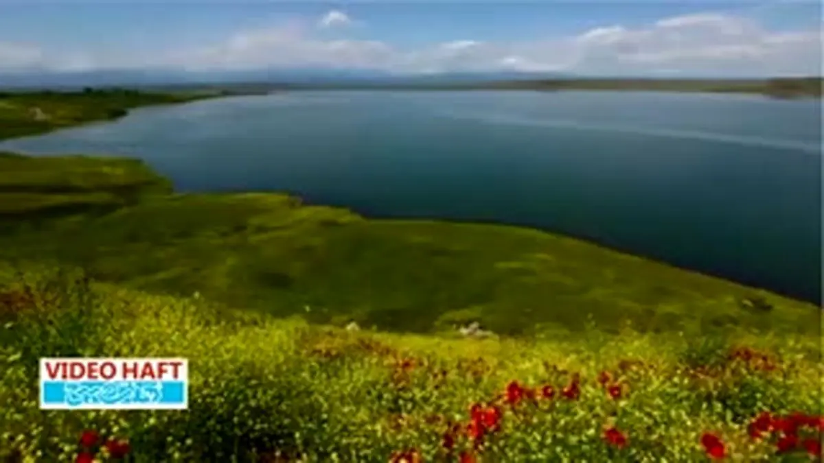 ویدیو هفت|رقص زندگی در ایران