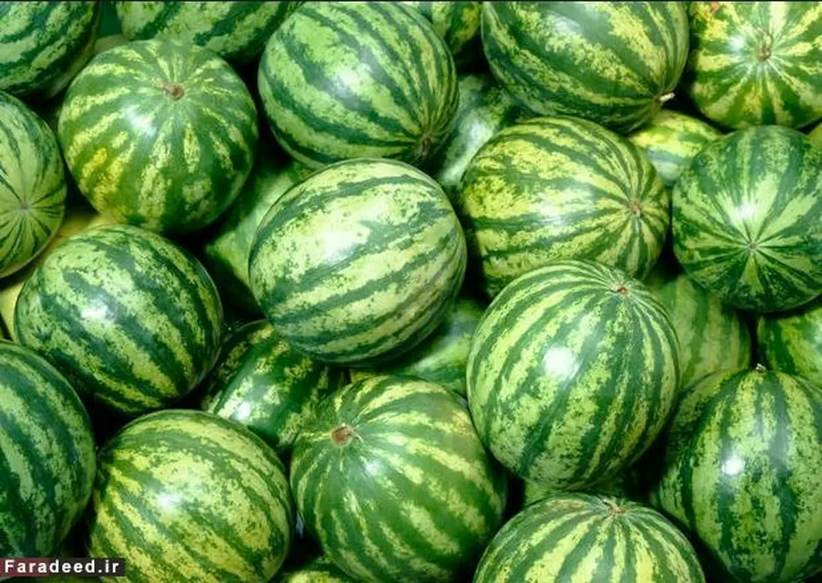 ۲۵ خوراکی که نباید در یخچال نگهداری کنید!