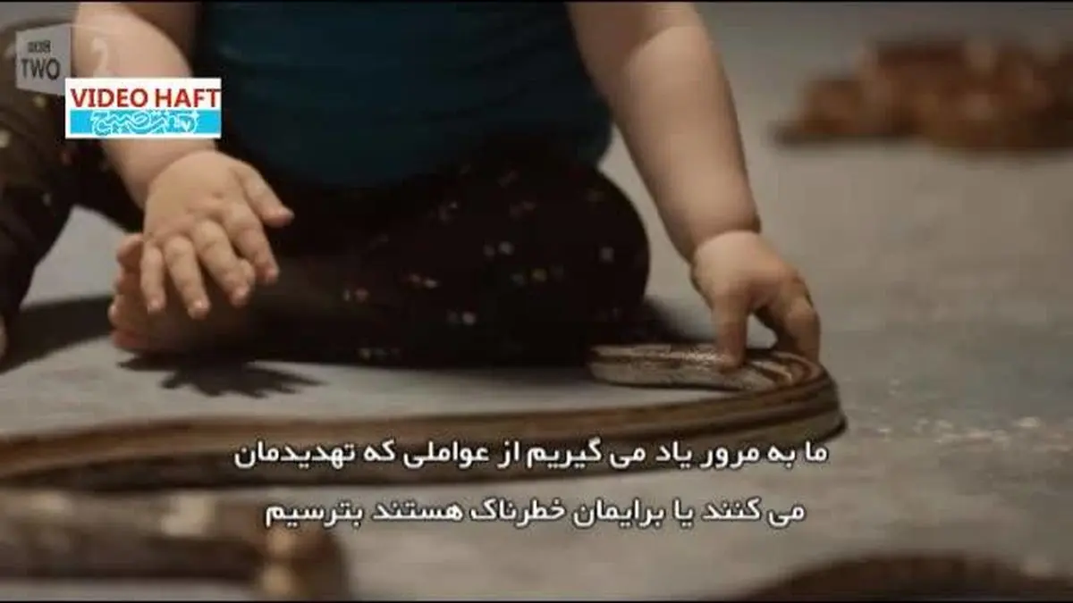 ویدیو هفت|چرا این کودکان از مار نمی‌ترسند؟