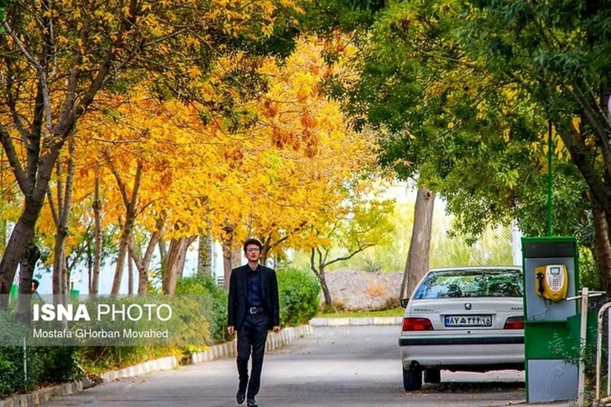 چرا باید در فصل پاییز پیاده روی کرد؟