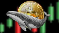 بیت‌کوین در اوج ۳ هفته‌ای؛ آیا بازگشت واقعی است یا بازی نهنگ‌ها؟